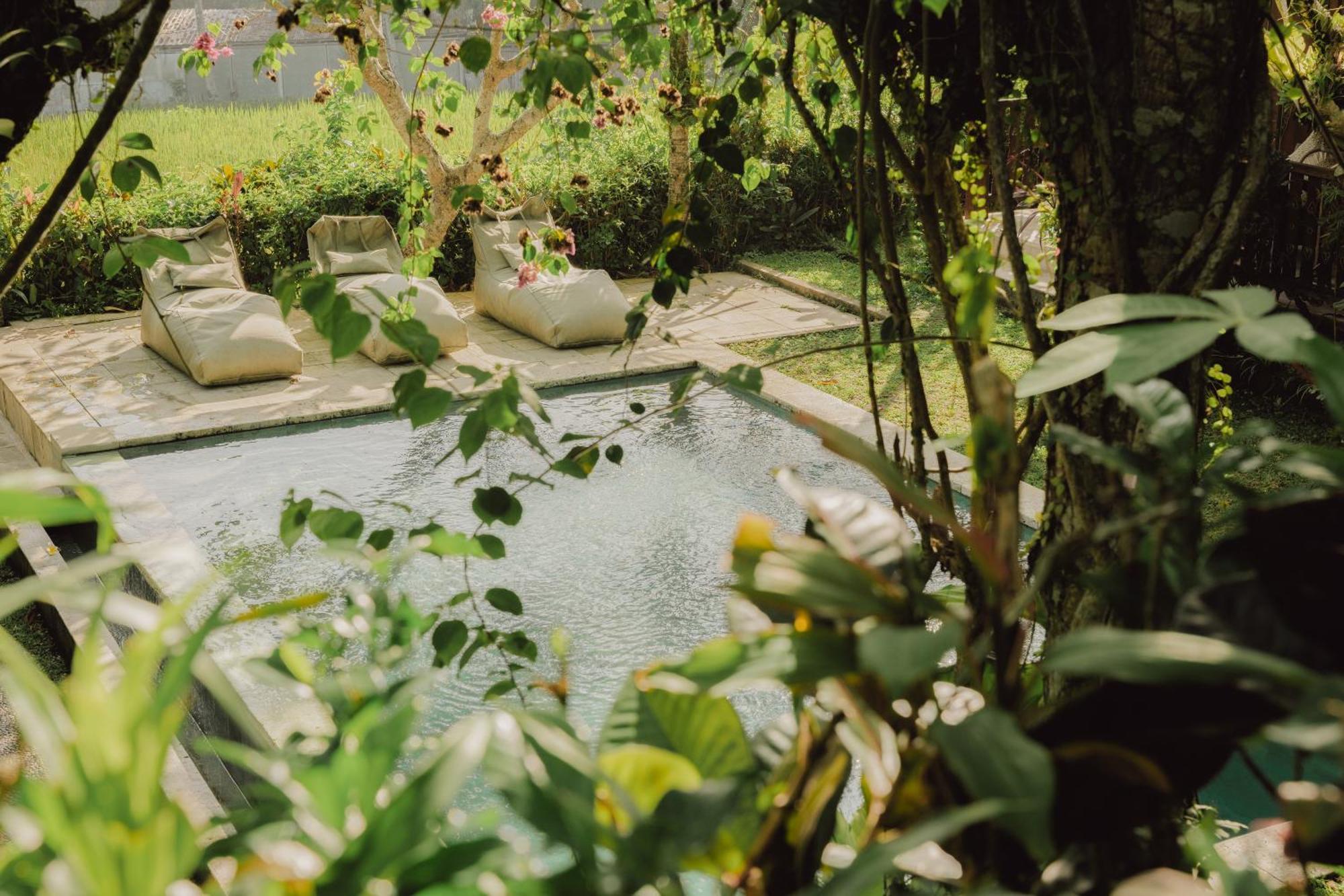 Villa Lumbung Ubud  Luaran gambar